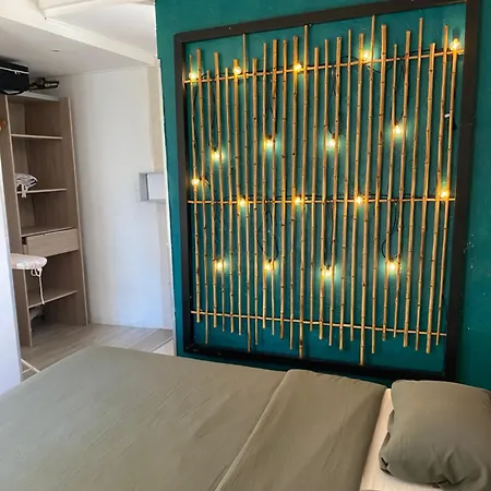 Joli Avec Jardin * Cannes
